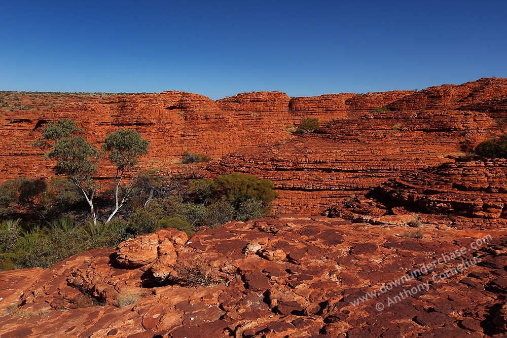 australian landscape desert